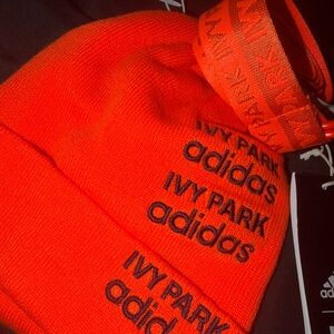 Ivy park set